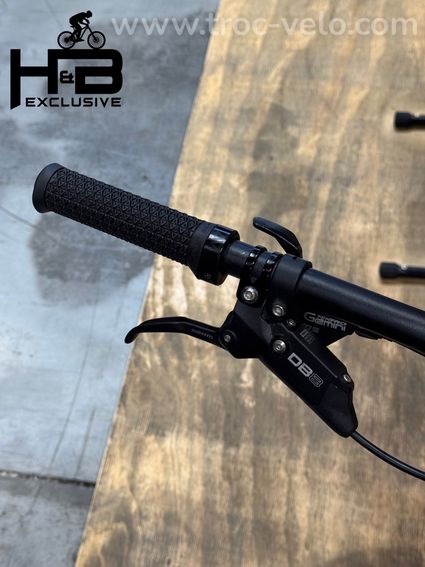 Raymon TrailRay 160E 9.0 29 pouces VTT électrique Tektro 2022 - 4