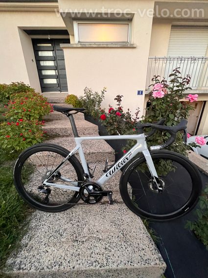 Willier filante slr 2026 - 2