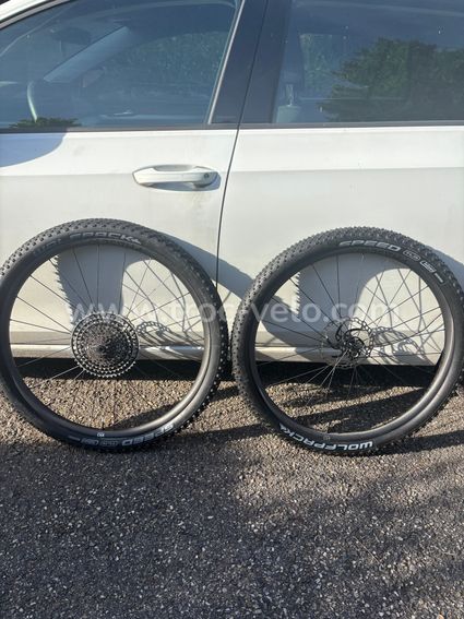 NEWMEN Phase 30 light XC