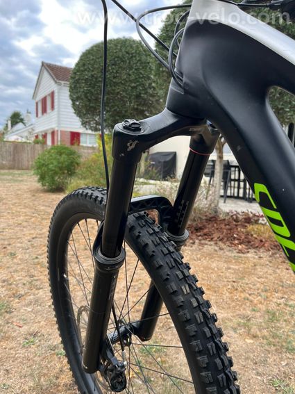 Stumpjumper Comp Carbon 29  - 3