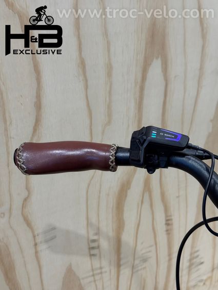 Riese & Müller Cruiser2 Mixte variable Vélo électrique Enviolo 2024 - 7