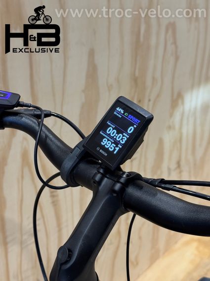 Riese & Müller Cruiser2 Mixte variable Vélo électrique Enviolo 2024 - 8