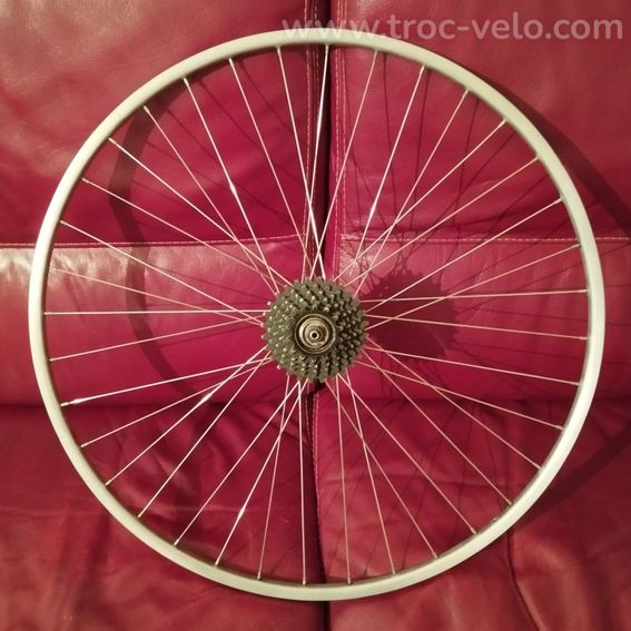 Roue Maillard helicomatic aluminium 6v en 14/28 dents en Bé - 2