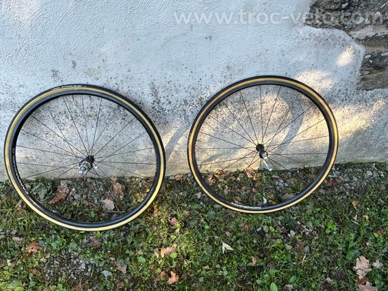 Campagnolo  - 3