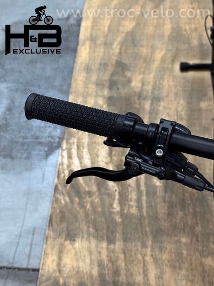 Cube Reaction Hybrid Race 750 29 pouces VTT électrique Shimano XT 2024 - 5