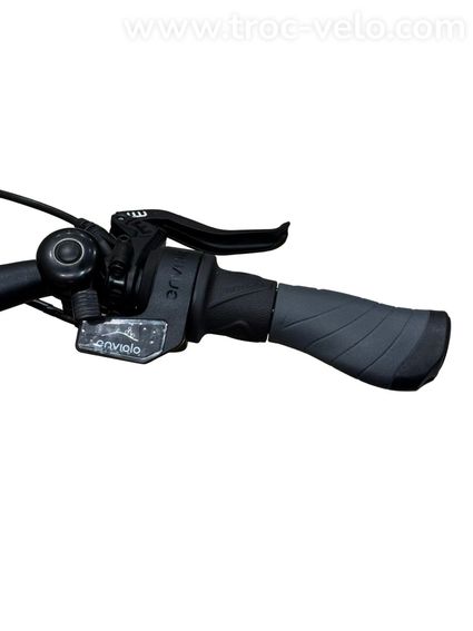 HNF Nicolai UD3 ALL-Terrain Vélo électrique Enviolo 2022 - 9
