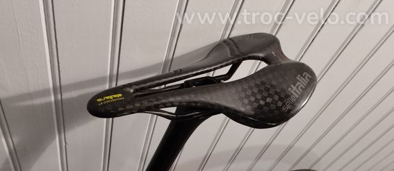 Bianchi specilicima  - 2