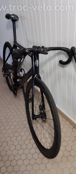Bianchi specilicima  - 3