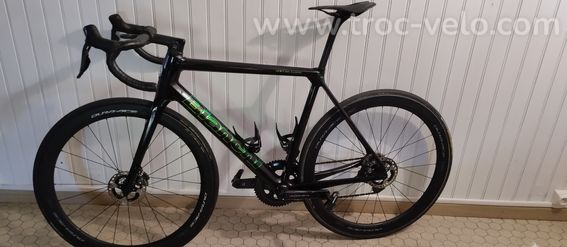 Bianchi specilicima  - 4