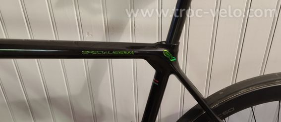 Bianchi specilicima  - 5