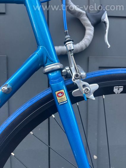 🔵 Fixie Artisanal Haut de Gamme - Cadre Acier Alain Michel (T59) - 2