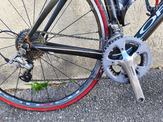 Orbea orca  - 2