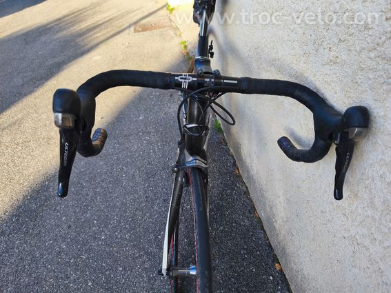 Orbea orca  - 3