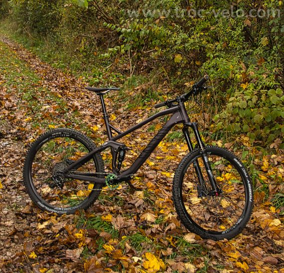 Canyon Spectral