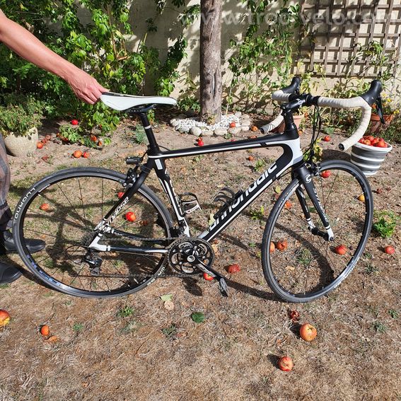 Vélo Cannondale Synapse Carbon 5 105 CT