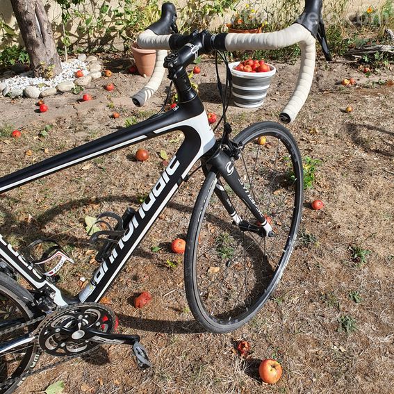 Vélo Cannondale Synapse Carbon 5 105 CT - 2