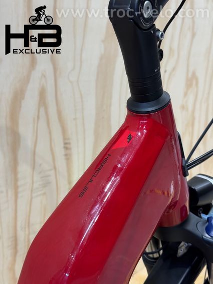 Hercules Intero I-R8 Vélo électrique Shimano Nexus 2022 - 10