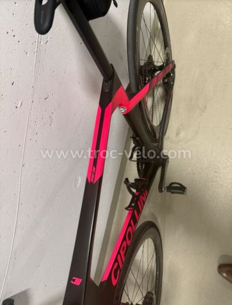 Cipollini Ad one 2022  - 8