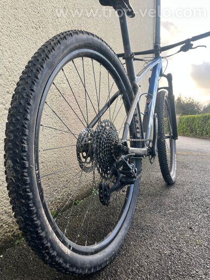 Trek marlin 8 gen 2 - 12