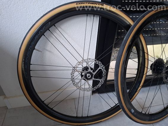 Roue shamal campagnolo - 2