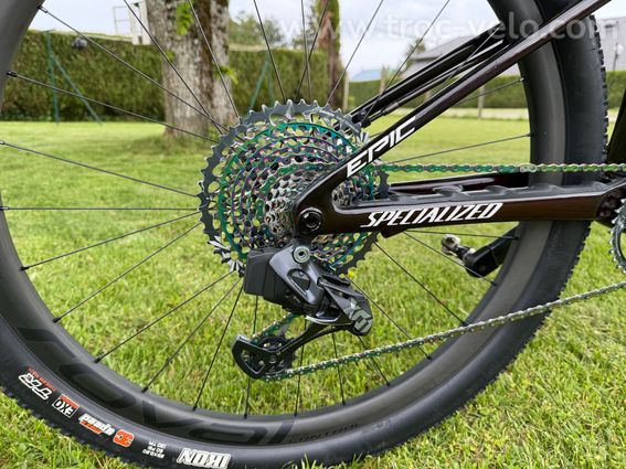 specialized EPIC expert - 3