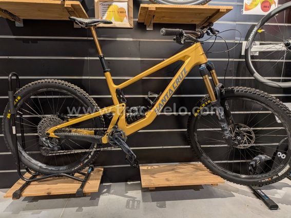 Santa Cruz BRONSON