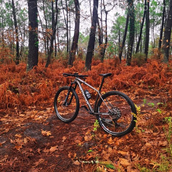 VTT SPECIALIZED semi rigide - 2