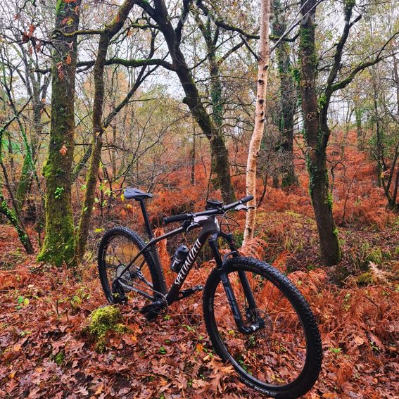 VTT SPECIALIZED semi rigide - 3