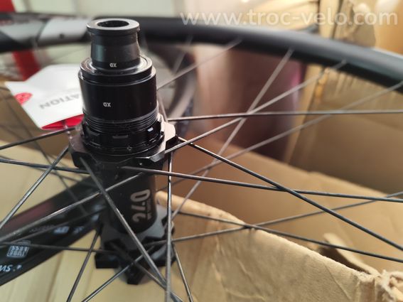 Paire de roues dt swiss exc 1501 29 6trous XD - 2