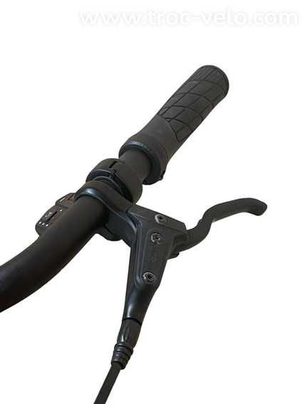 Giant DailyTour E+ 3 LDS Vélo électrique Shimano Alivio 2022 - 6
