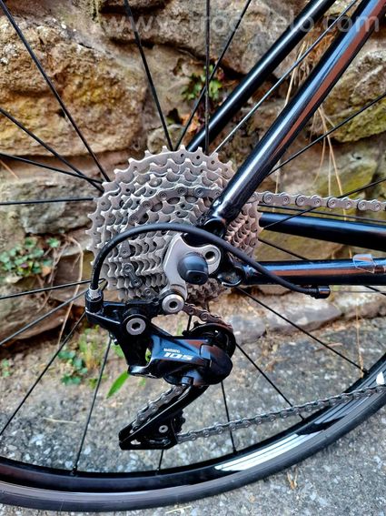 Bianchi Nirone 7 2024, taille M - 2