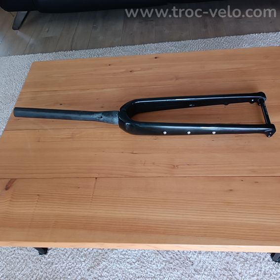Fourche carbone Alpha Bike  - 3