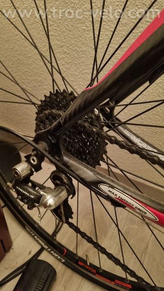 Velo Daccordi - 4