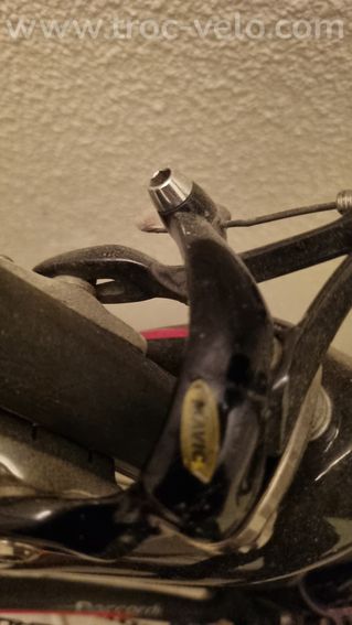 Velo Daccordi - 6