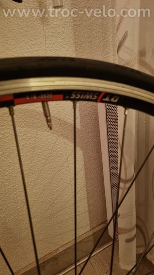 Velo Daccordi - 10