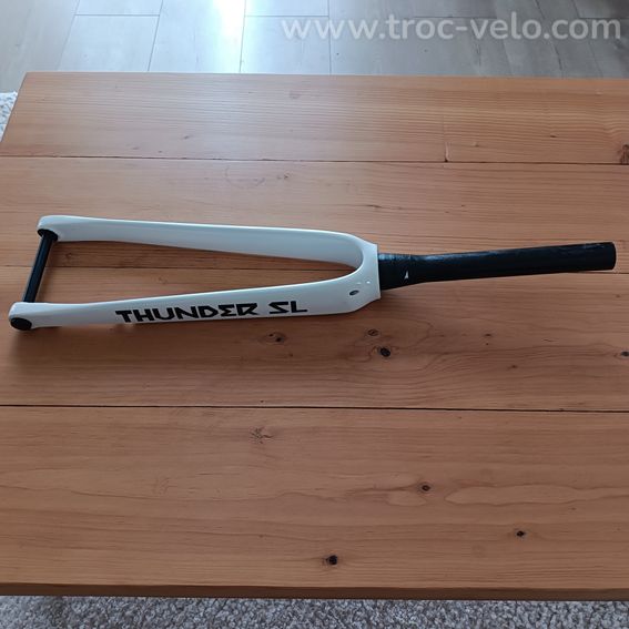 Fourche carbone Alpha Bike  - 2
