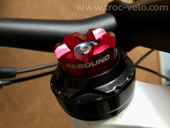 Cannondale F29 carbone Factory Racing 2020 - 10