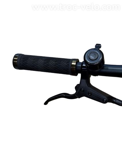 Tenways CGO600 Vélo électrique Single-Speed 2023 - 5