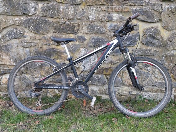 Focus raven 24"