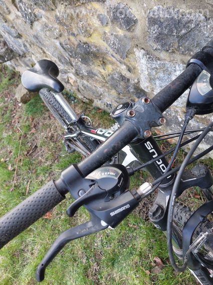Focus raven 24" - 3