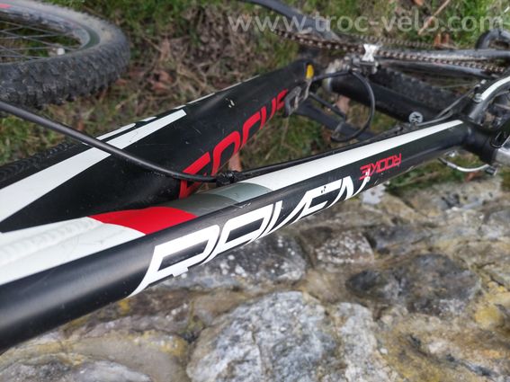 Focus raven 24" - 5