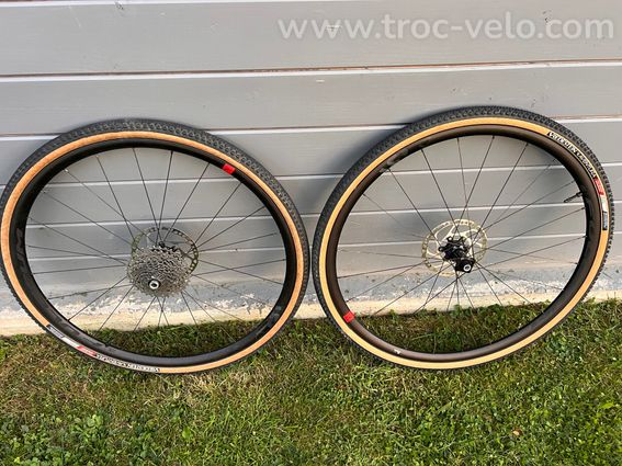 Gravel Ridley Carbone - 9