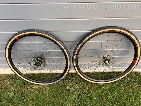 Gravel Ridley Carbone - 10