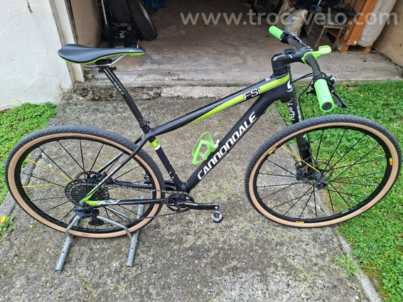 Cannondale F29 team