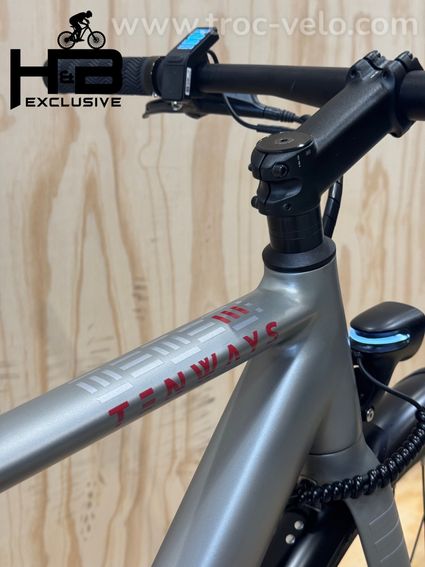 Tenways CGO600 Vélo électrique Single-Speed 2024 - 9