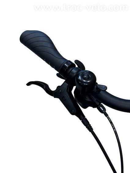 Giant DailyTour E+ 2 LDS Vélo électrique Shimano Deore 2023 - 5