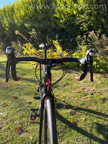 Specialized ruby - 5