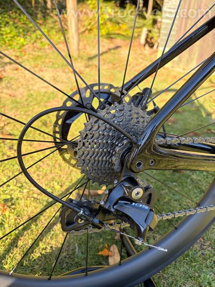 Specialized ruby - 7