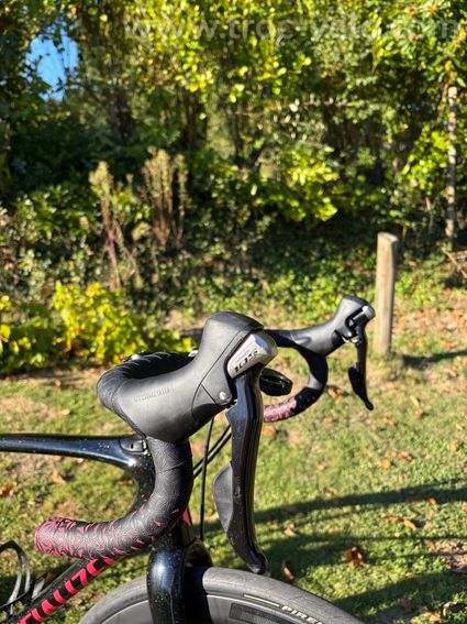 Specialized ruby - 10