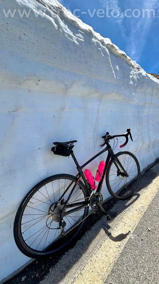 Specialized ruby - 15